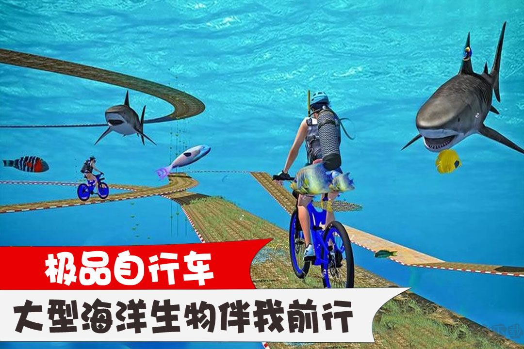 極品自行車
