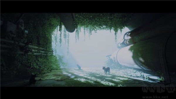 迷失最新版(Stray)