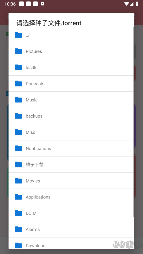 柚子下載器