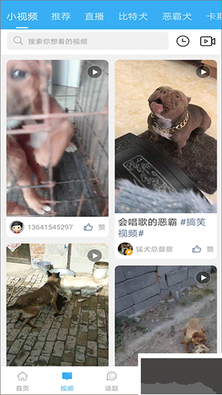 猛犬俱樂部