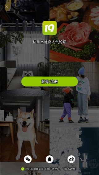19樓app