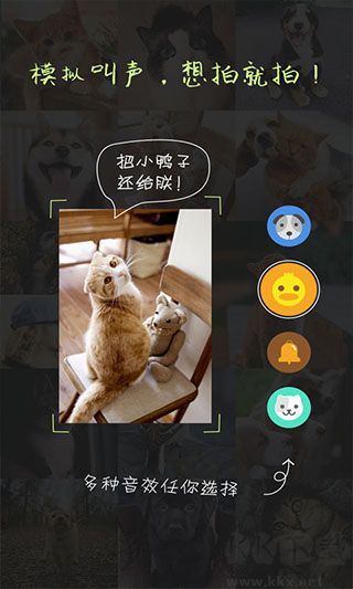 萌寵相機