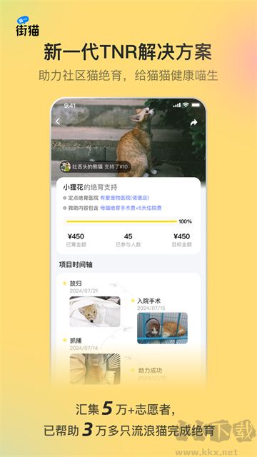 哈啰街貓