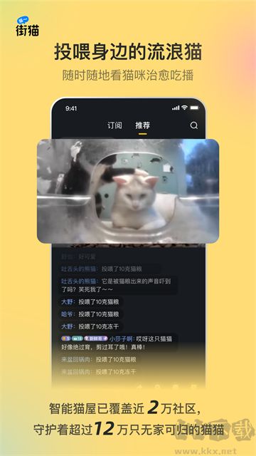 哈啰街貓