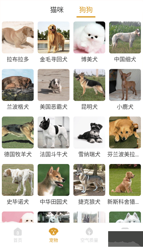 韶光相機(jī)