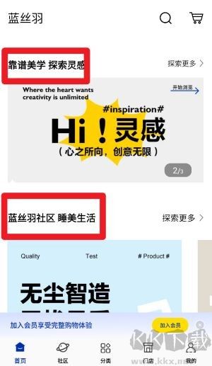 藍絲羽