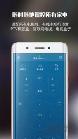 遙控大師