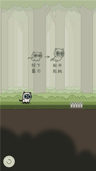 冒險(xiǎn)貓