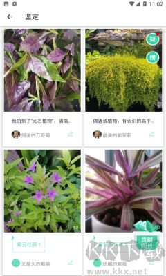 形色