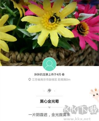 形色